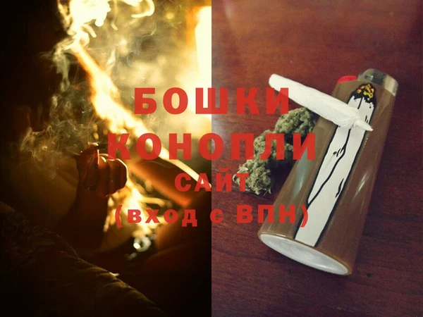 кокаин Белокуриха